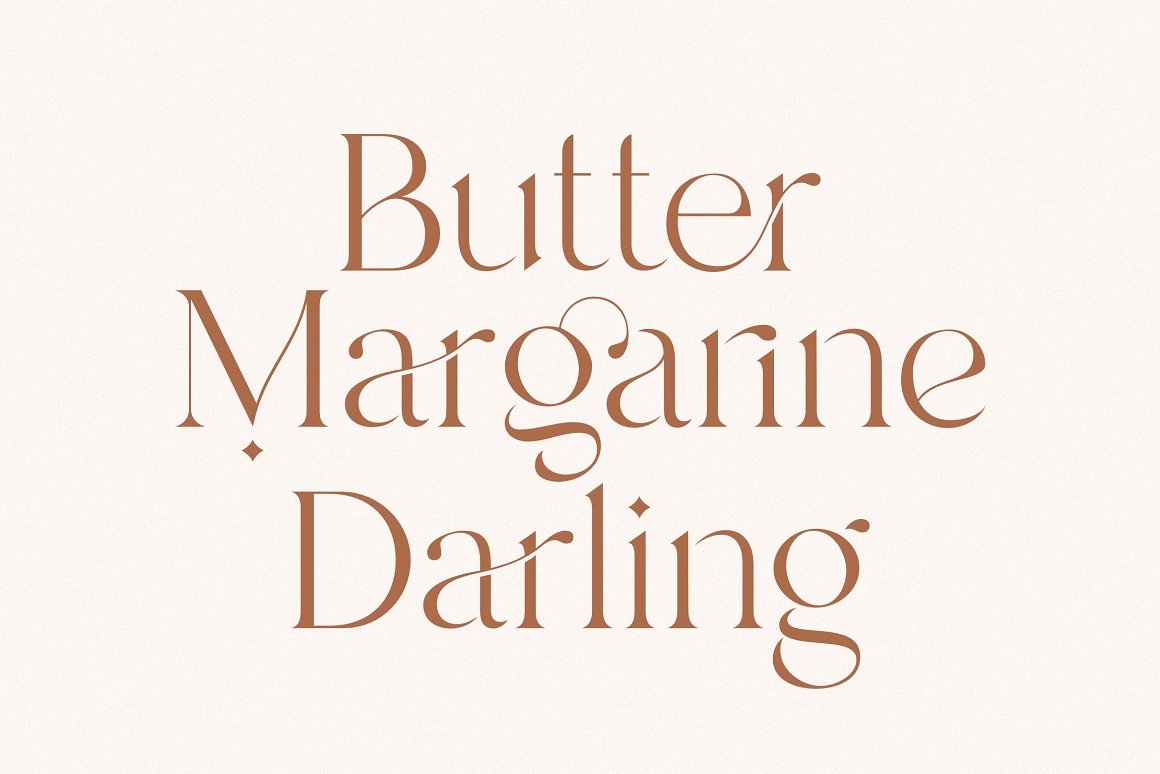 现代优雅海报标题徽标Logo设计衬线英文字体素材 Branch - Modern Ligature Serif_img_2