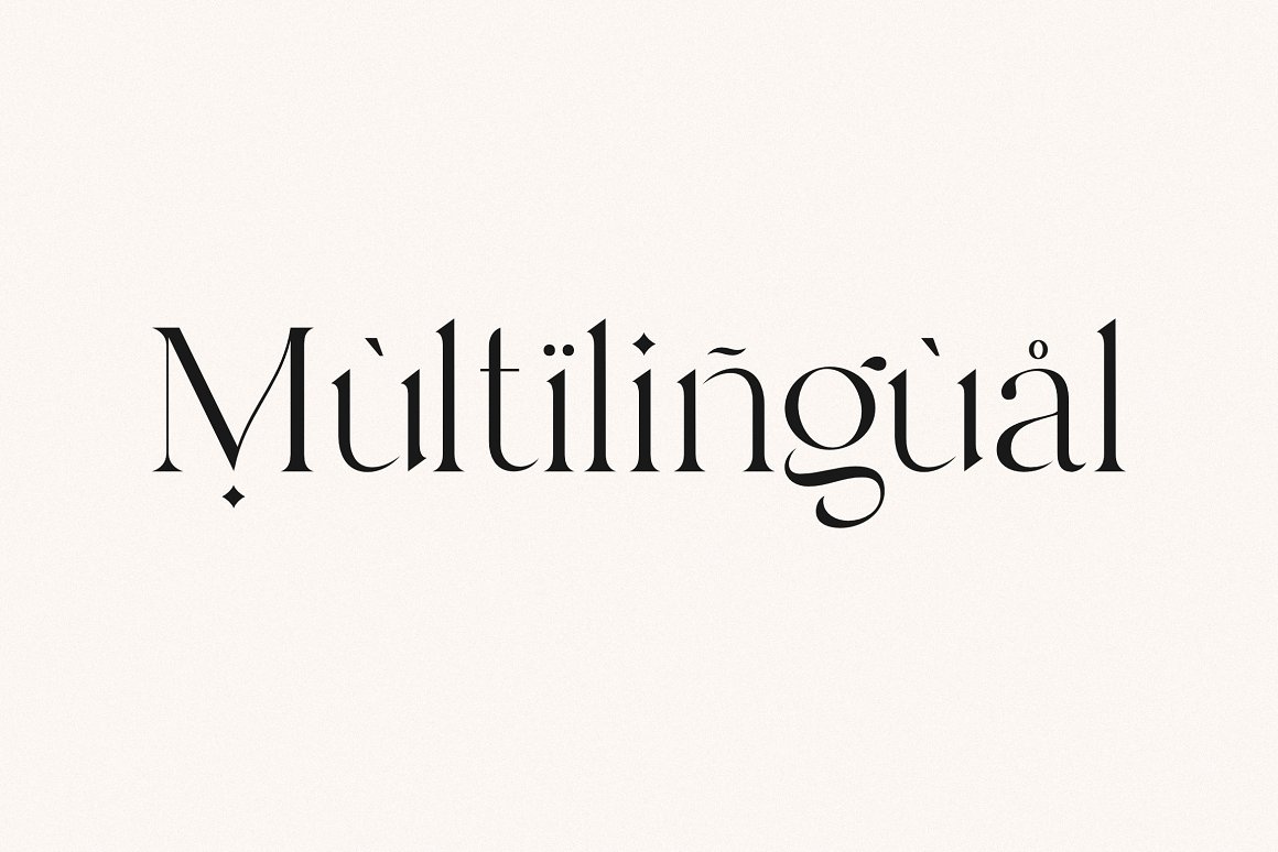 现代优雅海报标题徽标Logo设计衬线英文字体素材 Branch - Modern Ligature Serif_img_2