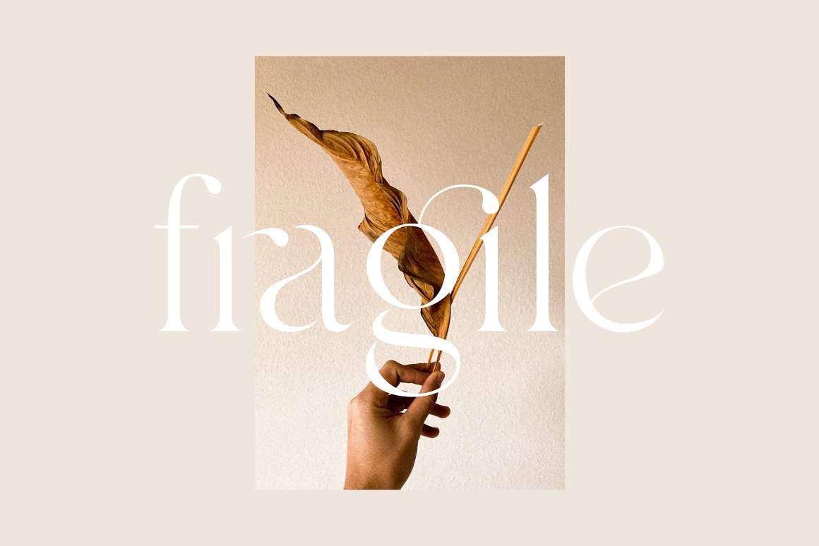 现代优雅海报标题徽标Logo设计衬线英文字体素材 Branch - Modern Ligature Serif_img_2