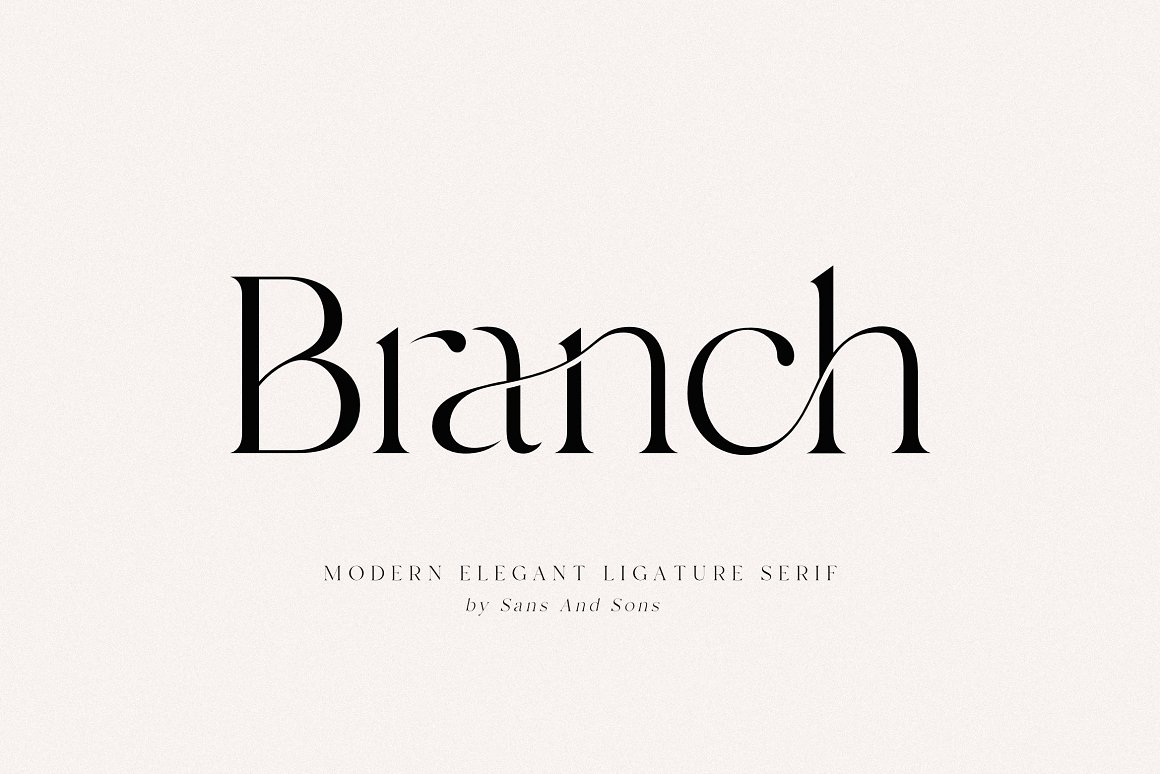 现代优雅海报标题徽标Logo设计衬线英文字体素材 Branch - Modern Ligature Serif_img_2