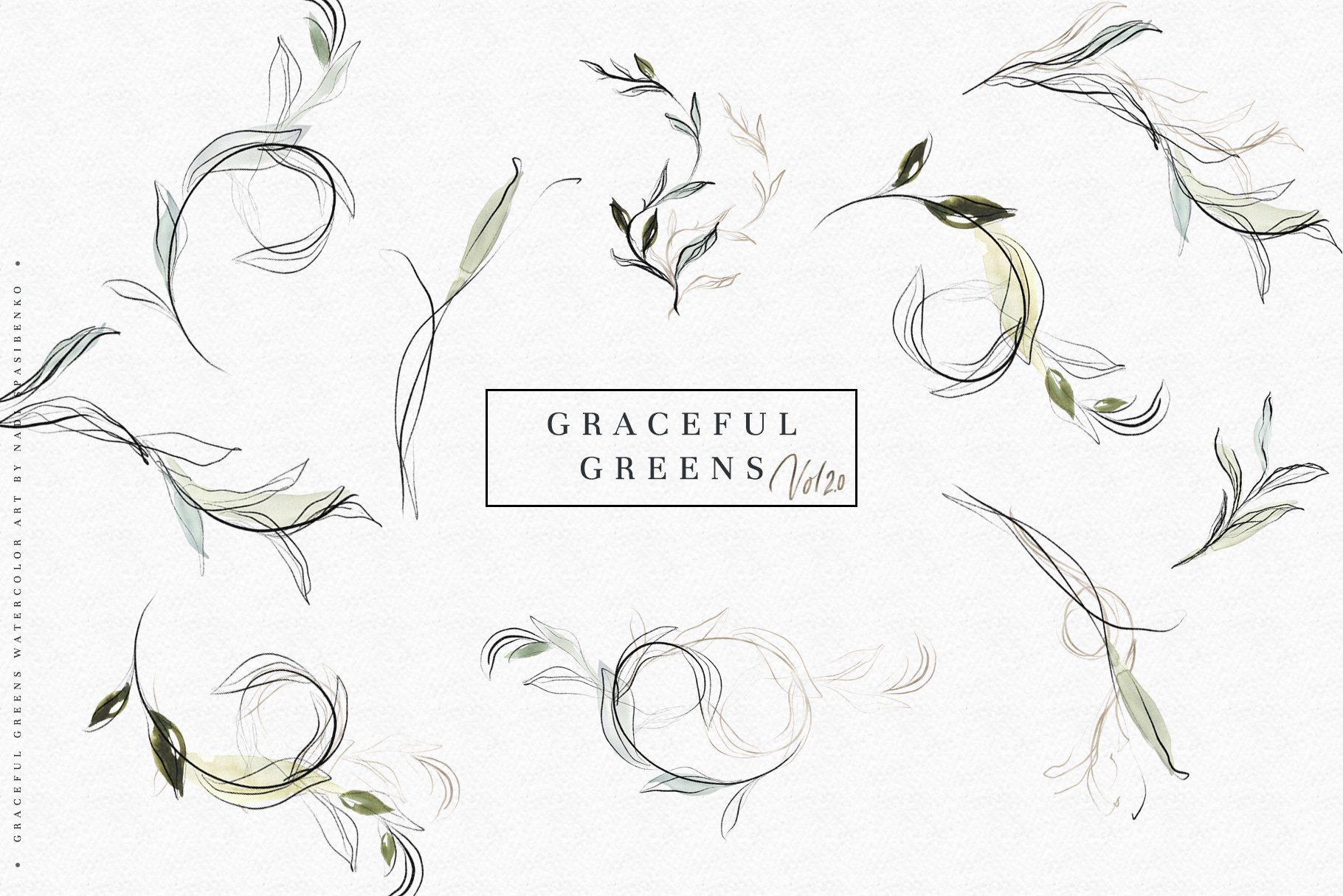 优美绿色树叶花卉手绘水彩画PNG图片素材 Graceful Greens_img_2