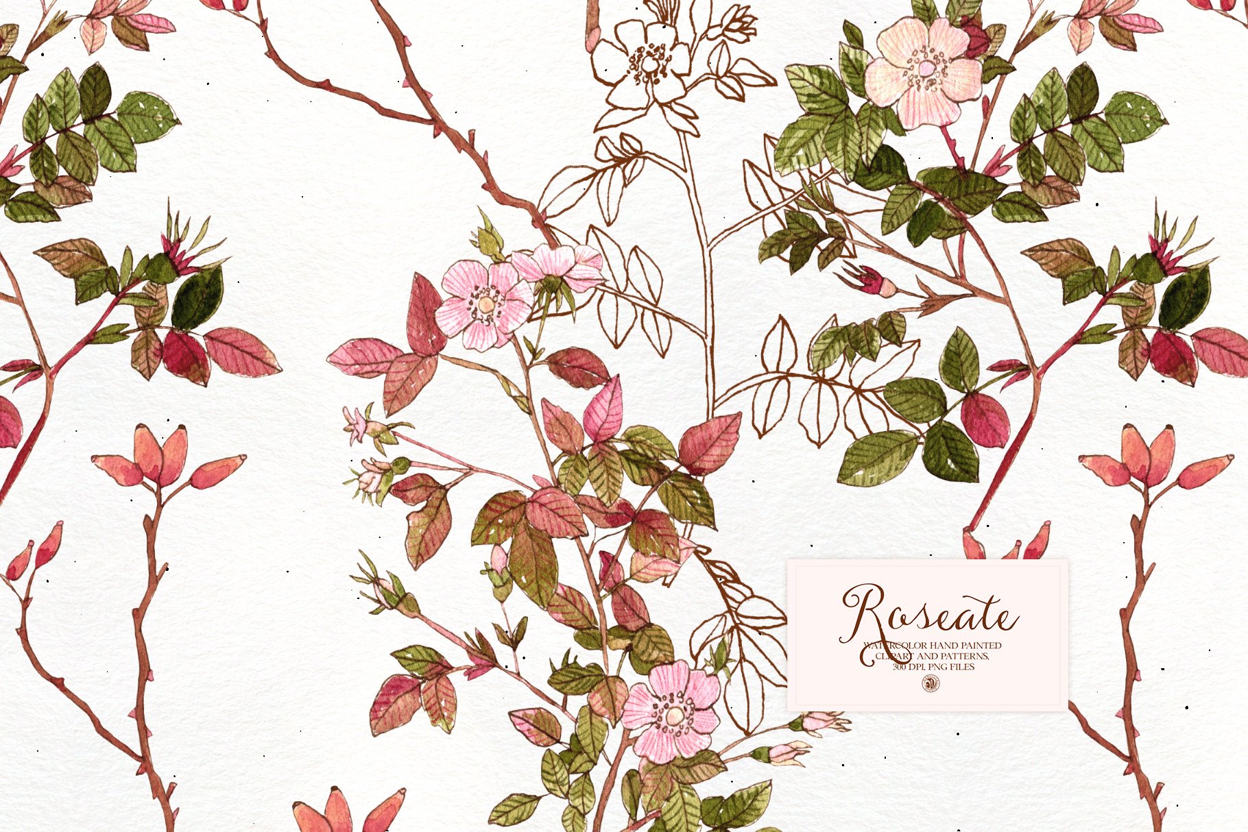 20款玫瑰花手绘水彩画框架装饰图案PNG透明图片素材 Roseate - Watercolor Clipart And Patterns_img_2