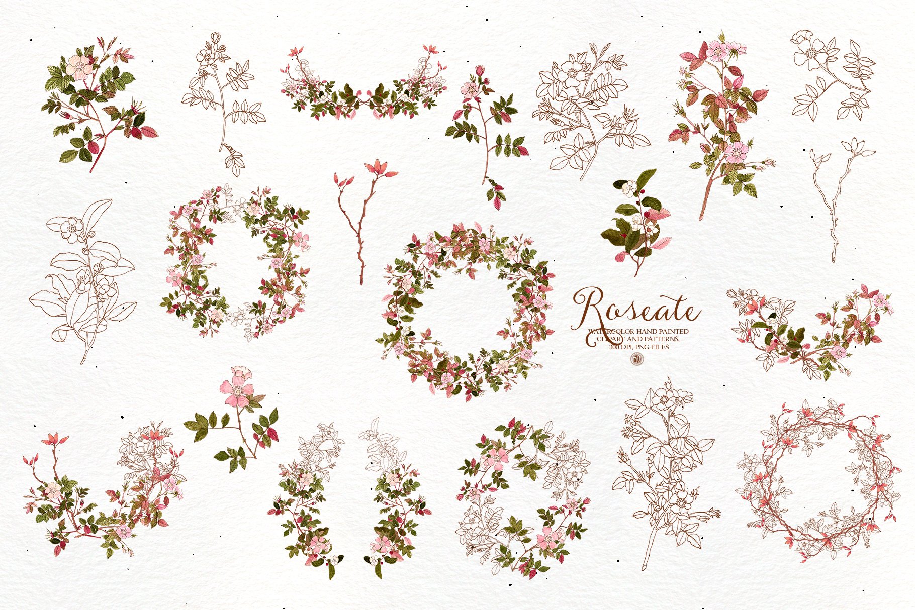 20款玫瑰花手绘水彩画框架装饰图案PNG透明图片素材 Roseate - Watercolor Clipart And Patterns_img_2