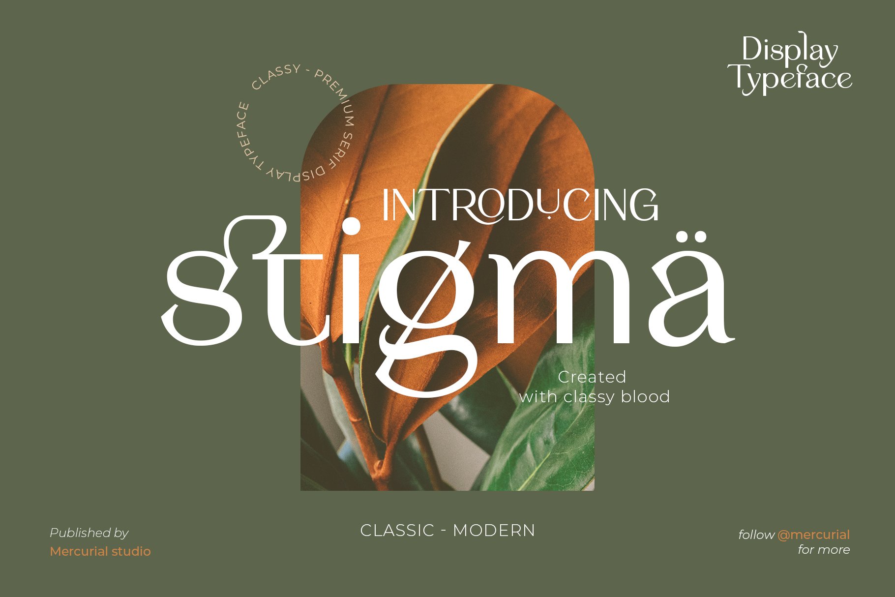 现代优雅杂志标题徽标Logo无衬线英文字体设计素材 Stigma - Display Serif Font_img_2