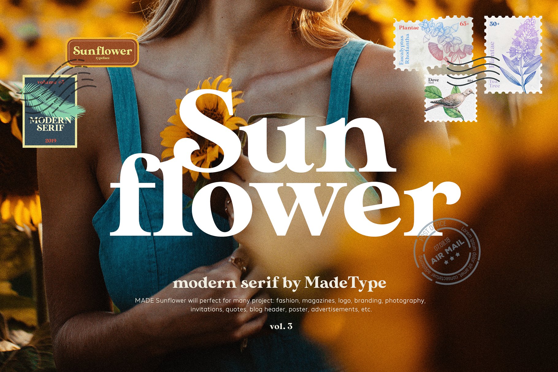 12套时尚优雅奢华杂志海报标题Logo英文字体设计素材套装 Modern Font Bundle_img_2