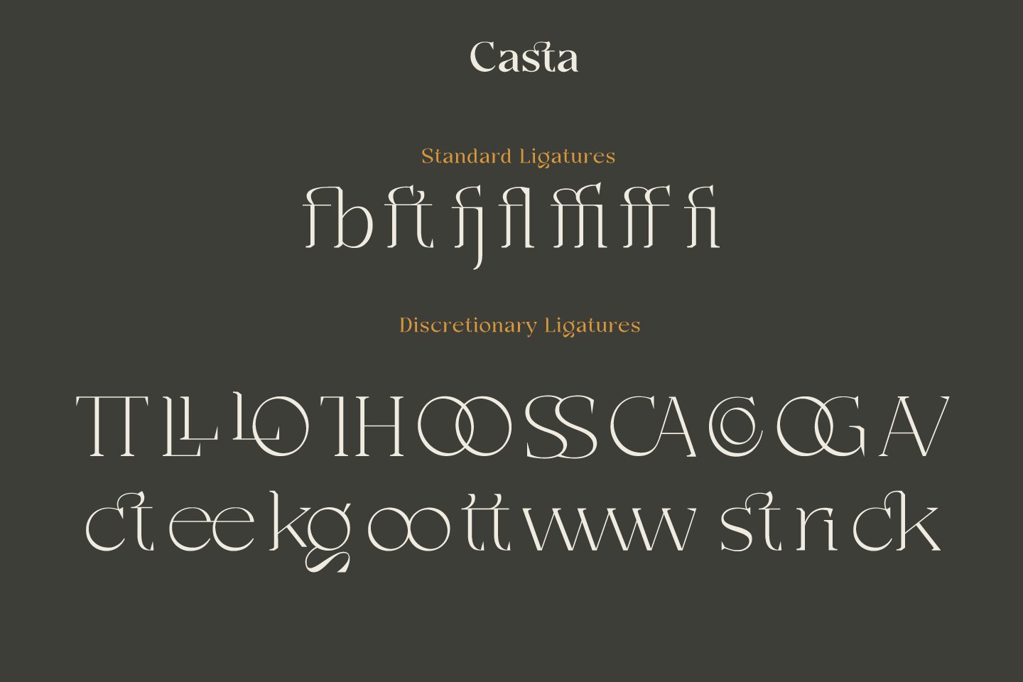现代优雅三角形锋利杂志标题徽标Logo衬线英文字体素材 Casta Full Font Family_img_2