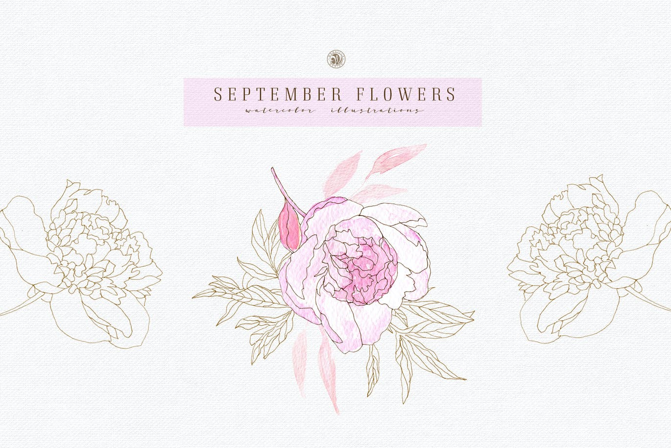 九月花花卉手绘水彩画PNG透明图片素材 September Flowers vol. 2_img_2