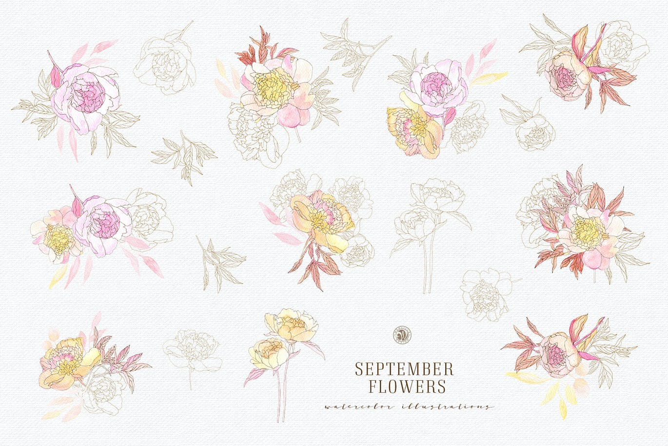 九月花花卉手绘水彩画PNG透明图片素材 September Flowers vol. 2_img_2