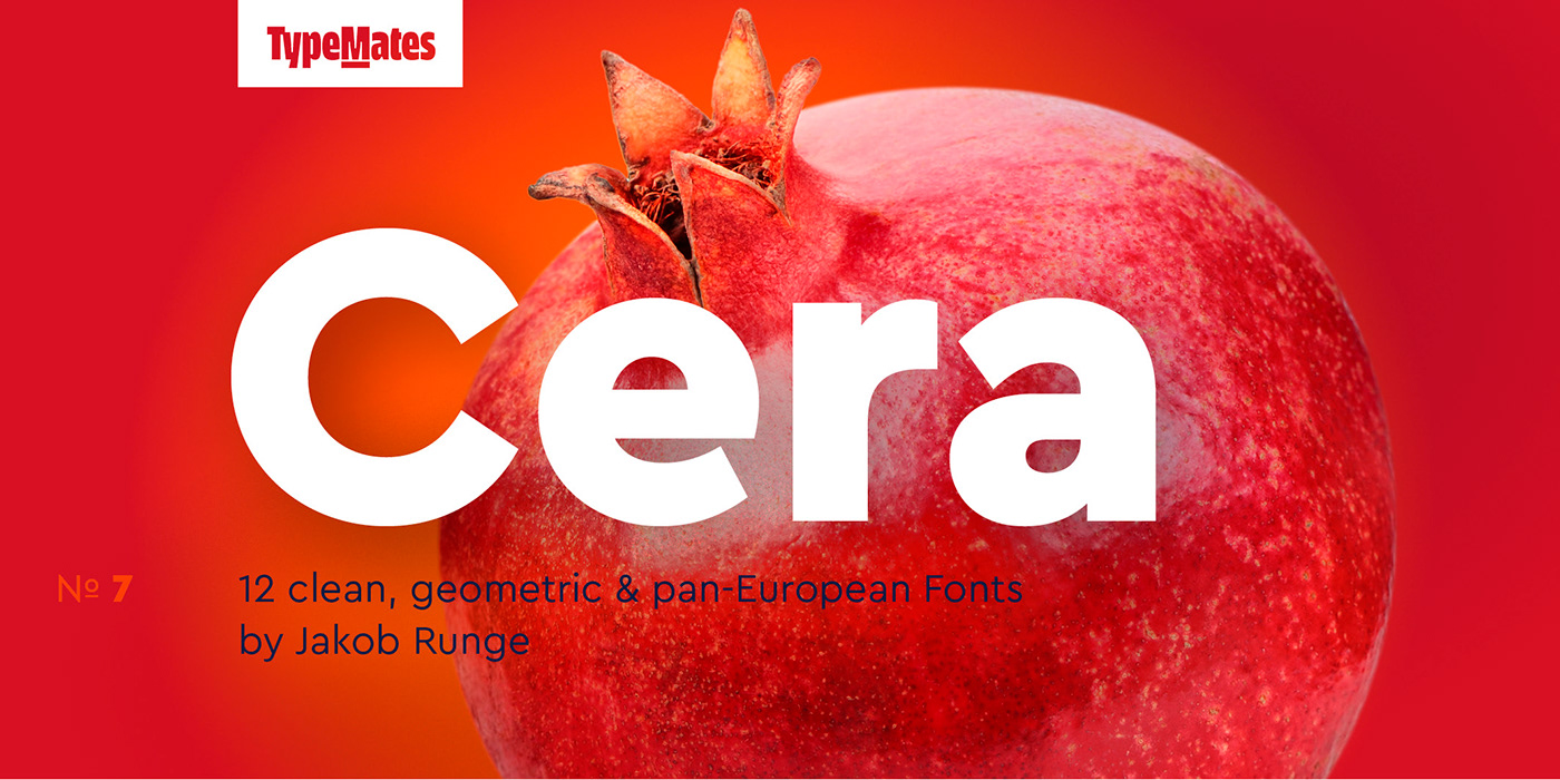 时尚优雅杂志标题Logo设计无衬线英文字体素材 Cera Pro Font Family_img_2