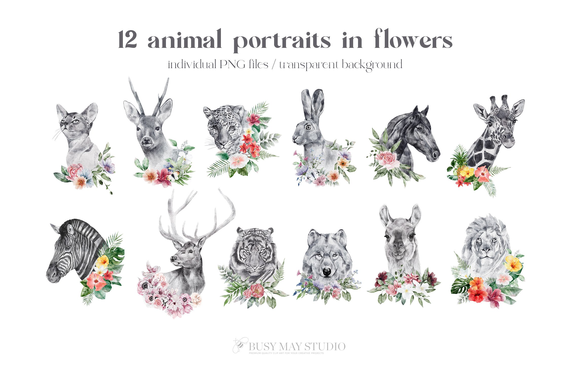 60款野生动物花卉手绘水彩几何框架PNG免扣图片素材 Watercolor Animal Portraits And Flowers_img_2