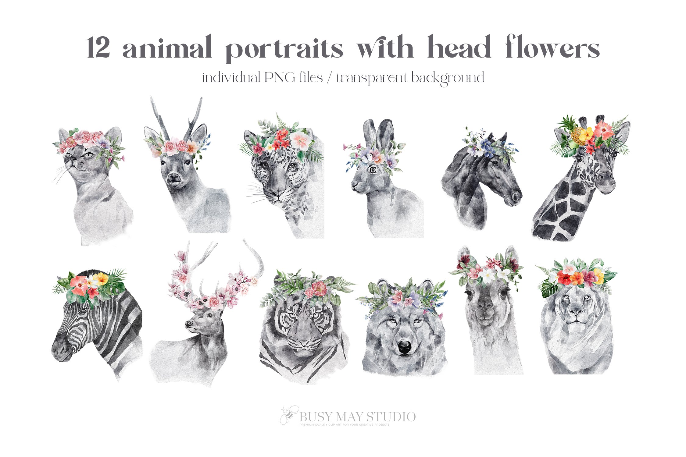 60款野生动物花卉手绘水彩几何框架PNG免扣图片素材 Watercolor Animal Portraits And Flowers_img_2