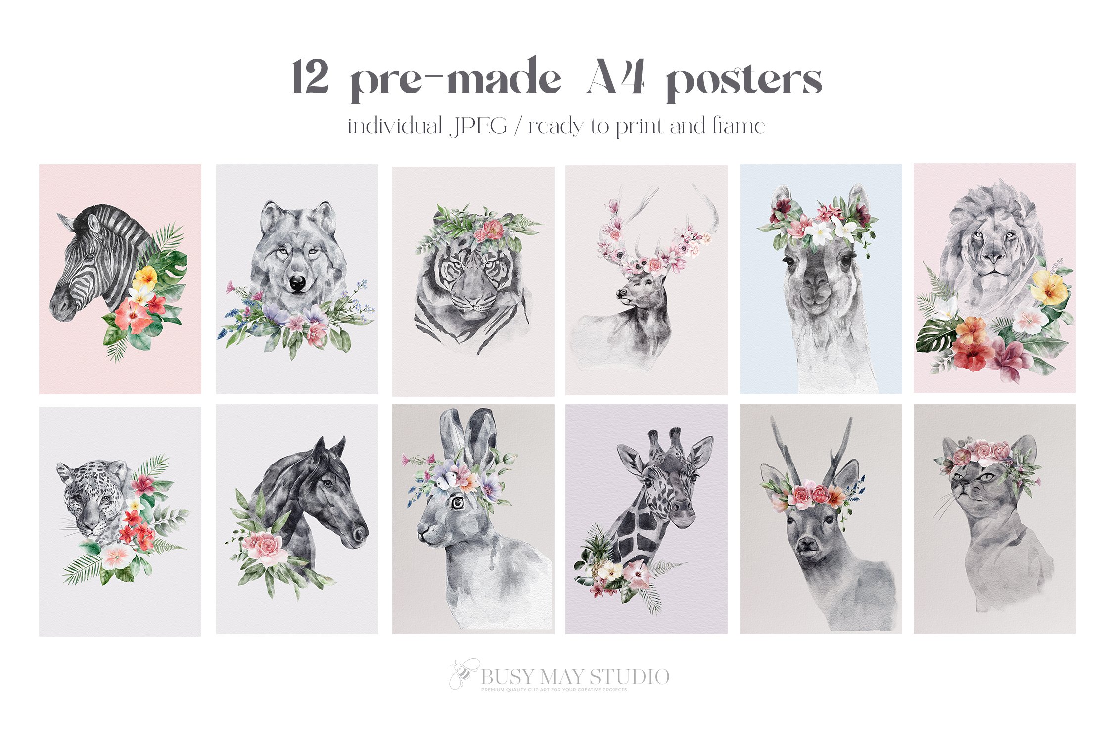 60款野生动物花卉手绘水彩几何框架PNG免扣图片素材 Watercolor Animal Portraits And Flowers_img_2