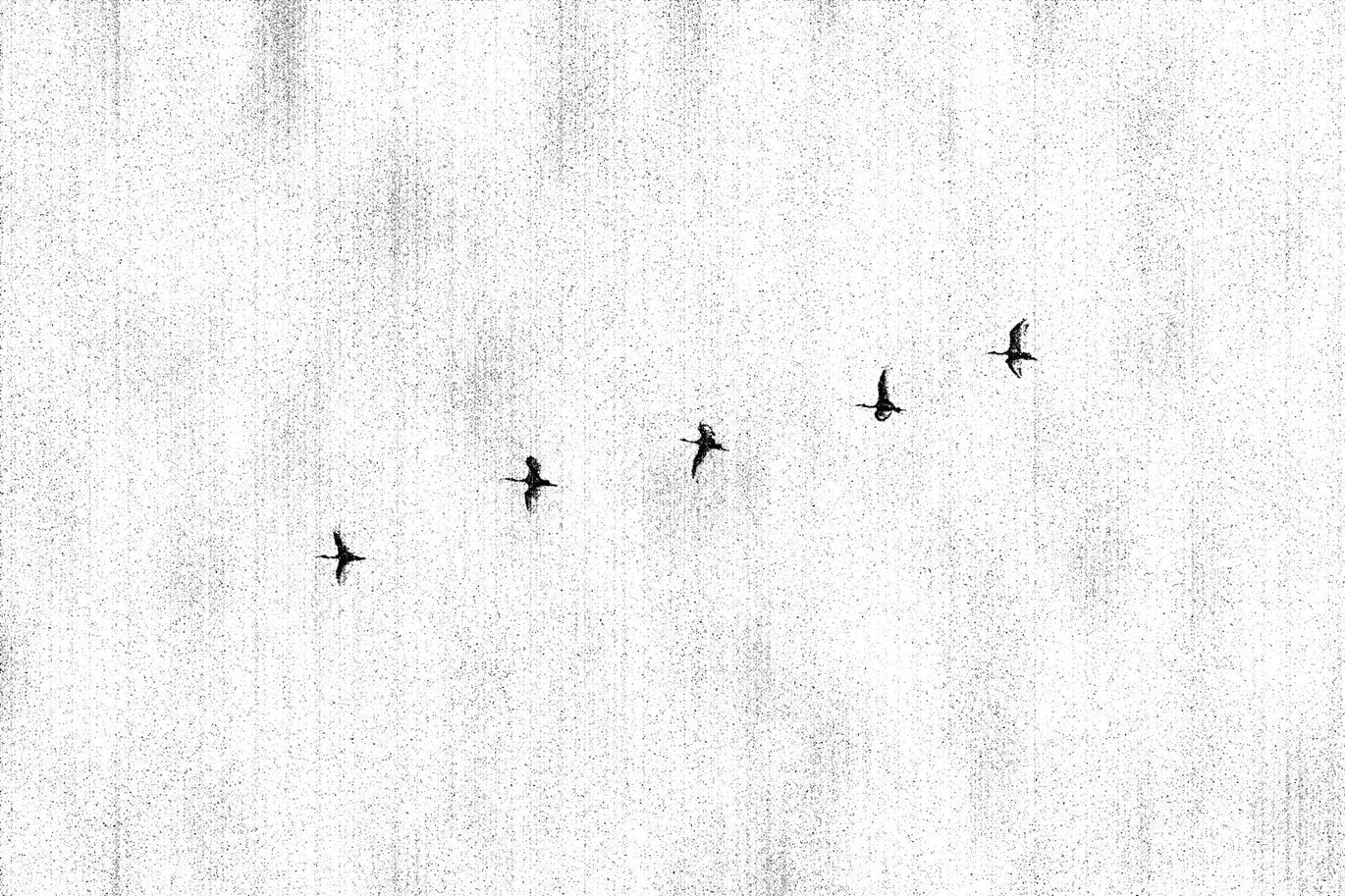 墨水打印效果照片处理特效PS样式模板 Photocopier Photoshop Effect_img_2