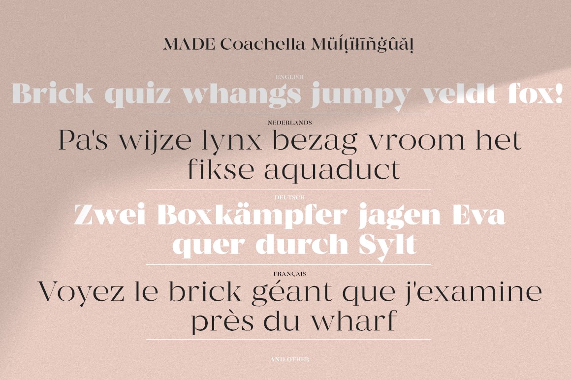 现代优雅杂志标题徽标Logo设计衬线英文字体素材 MADE Coachella Font_img_2