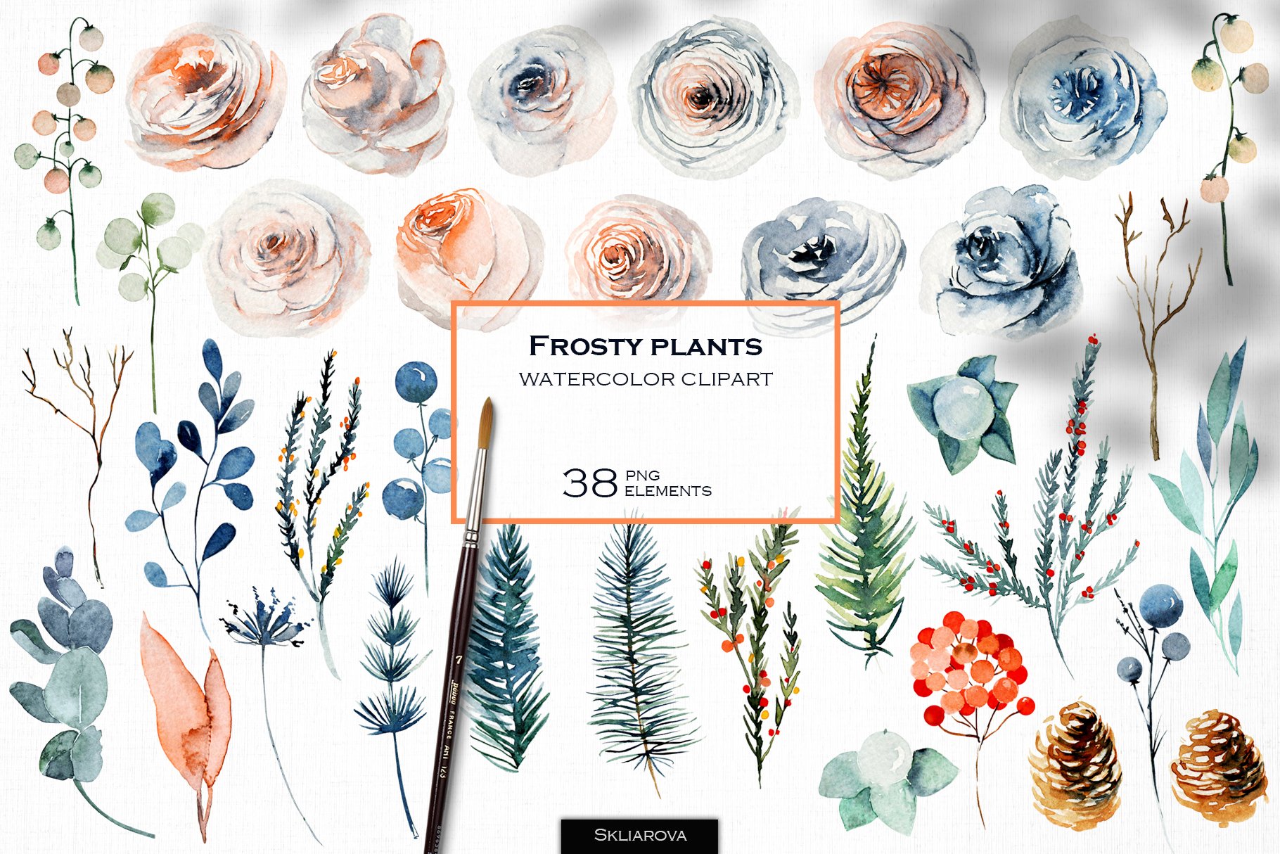 38款高清花卉松树元素手绘水彩画PNG透明图片素材 Frosty Plants Clipart_img_2