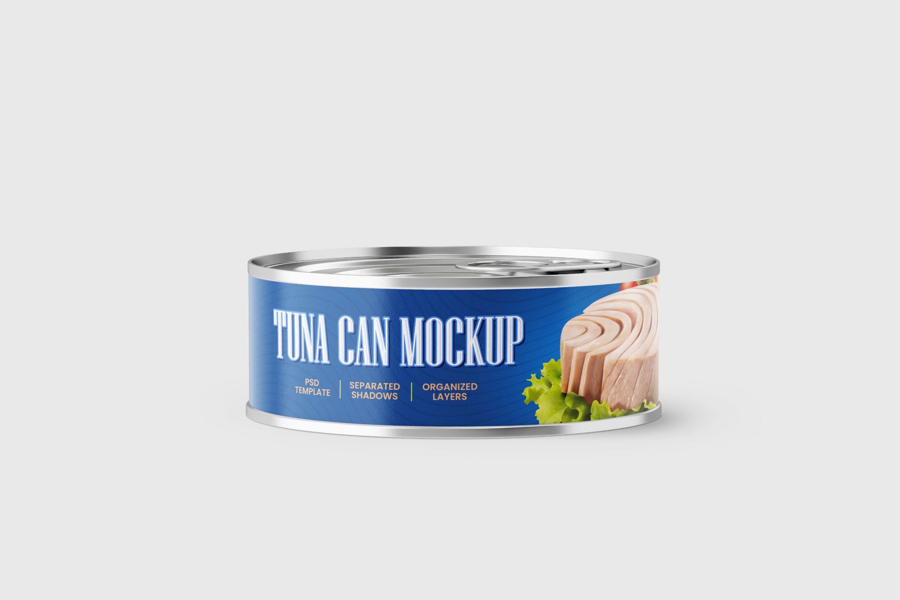 8款牛肉鱼罐头金属锡罐设计展示贴图样机合集 Tuna Tin Can Mockup Set_img_2