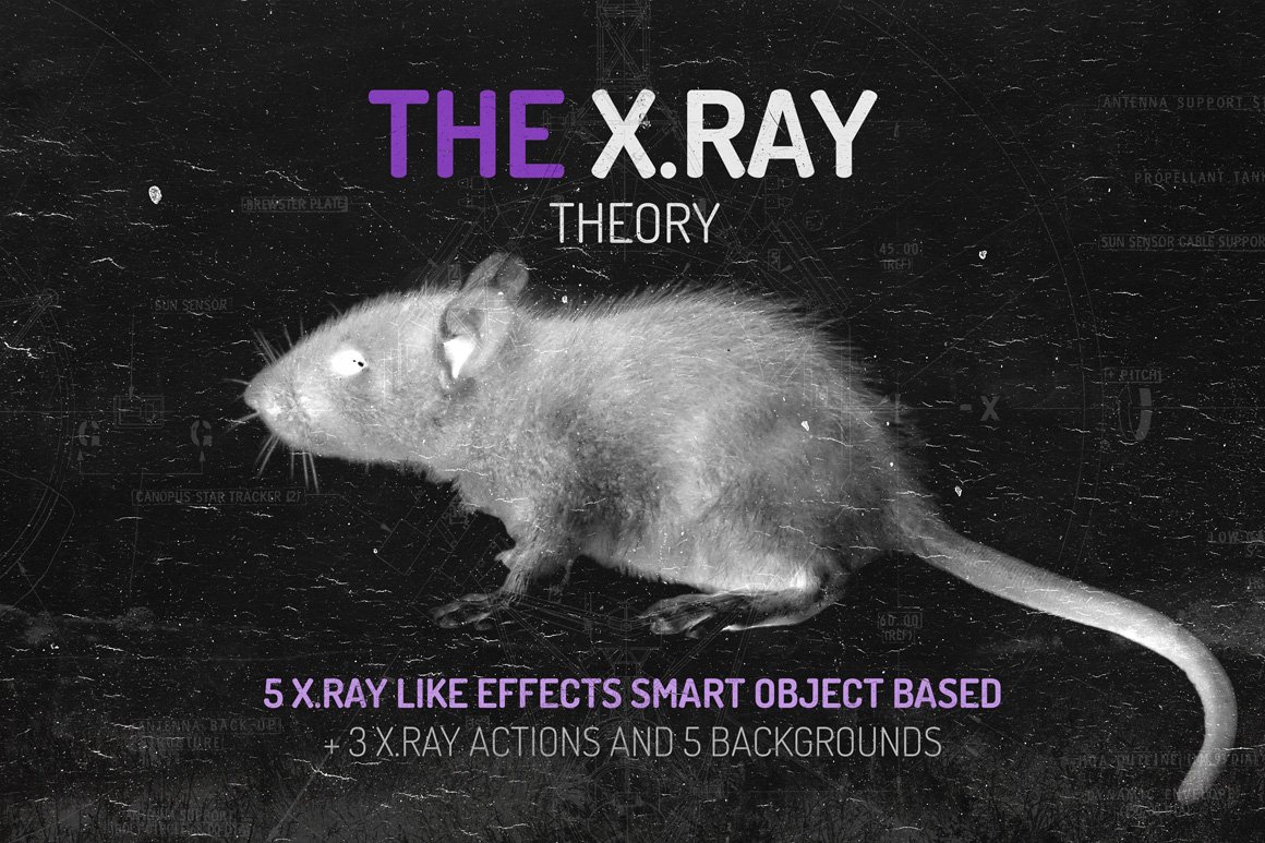 5款潮流黑白X光射线图片处理滤镜特效PS动作模板素材 The X.RAY Theory_img_2