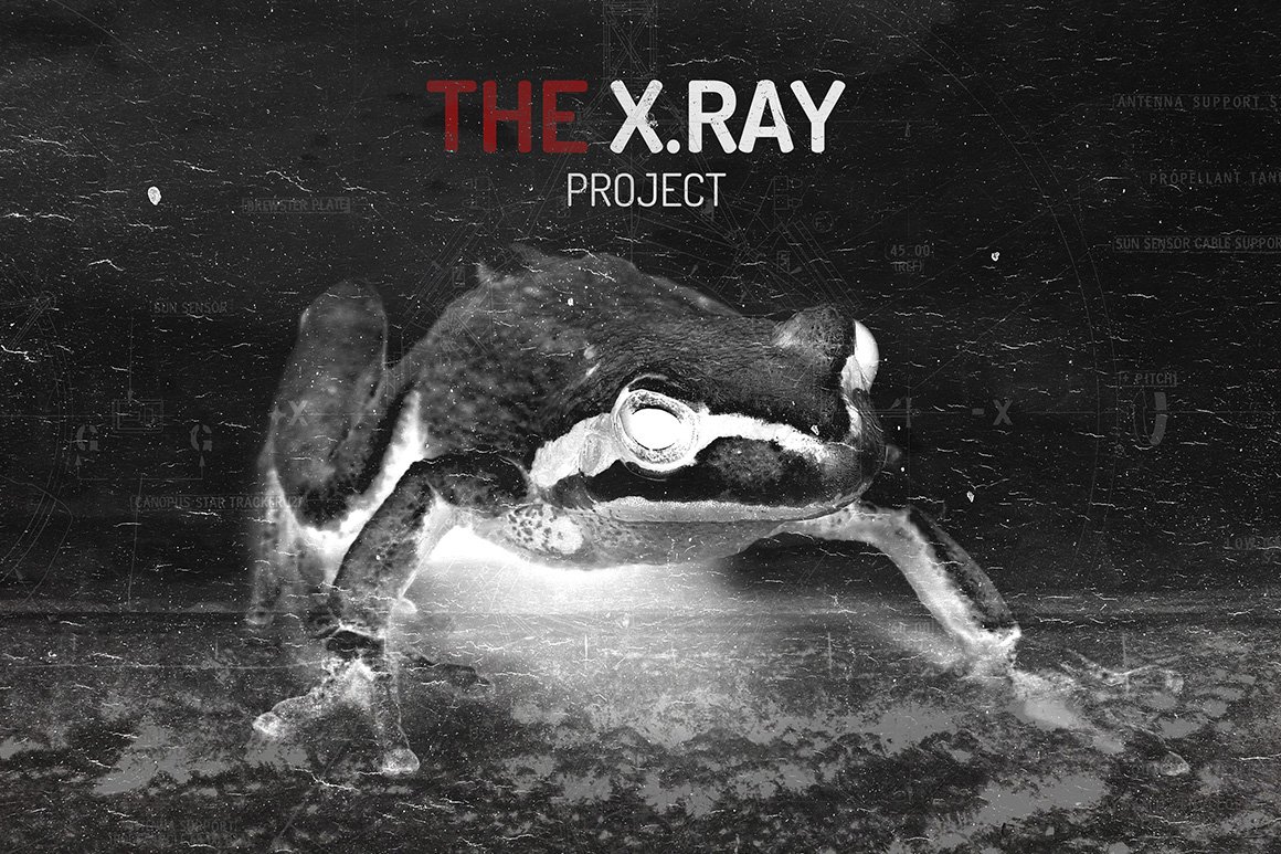 5款潮流黑白X光射线图片处理滤镜特效PS动作模板素材 The X.RAY Theory_img_2