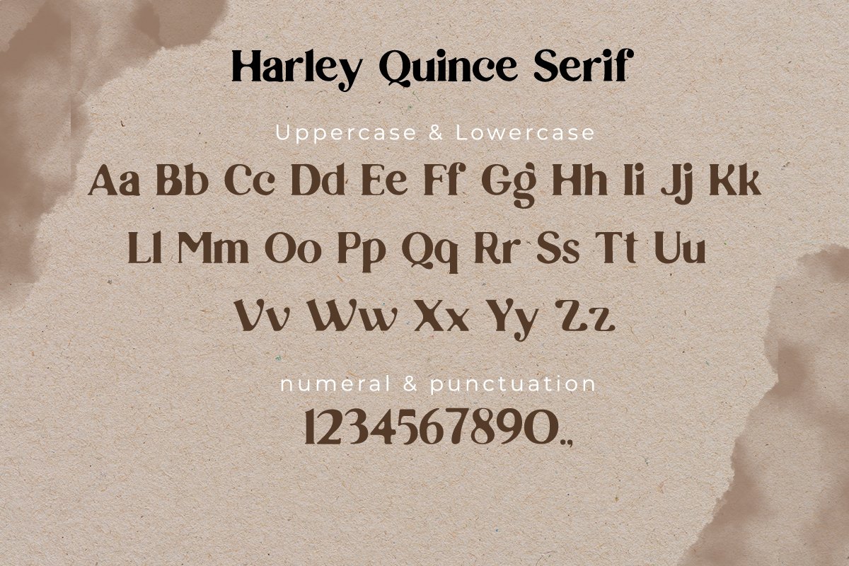 现代优雅画册海报标题Logo设计衬线手写签名字体素材 Harley Quince Elegant Font Duo_img_2