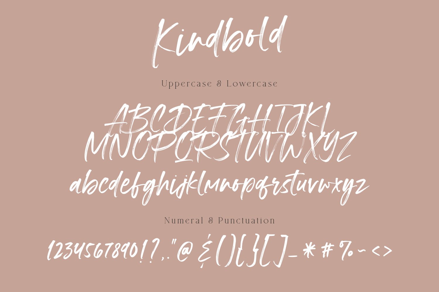 时尚优雅婚礼贺卡Logo设计手写英文字体素材 Kindbold - Brush Font_img_2