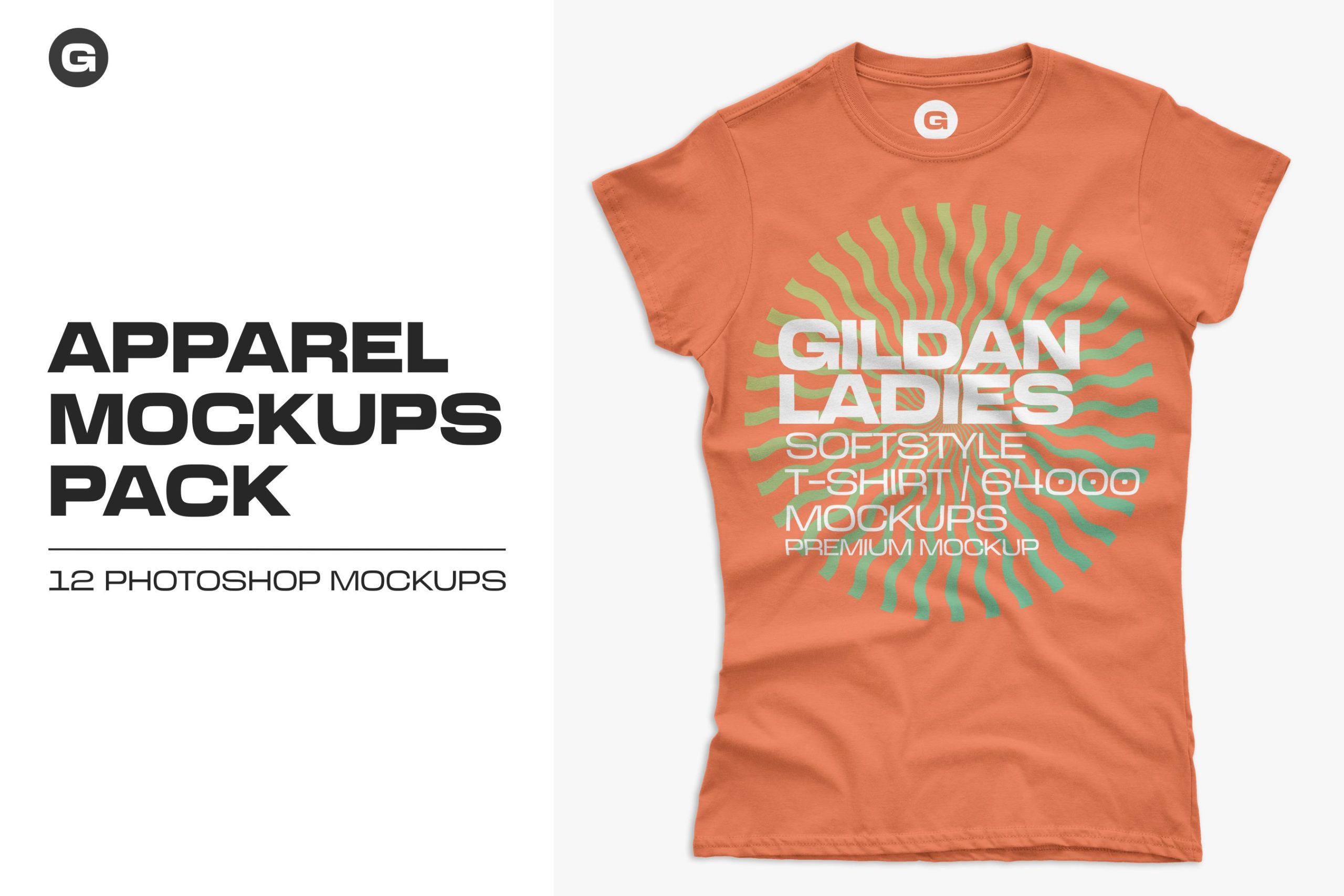 12款女式长款半袖T恤衫印花图案设计展示贴图样机 Gildan Ladies 64000 T-Shirt Mockups_img_2