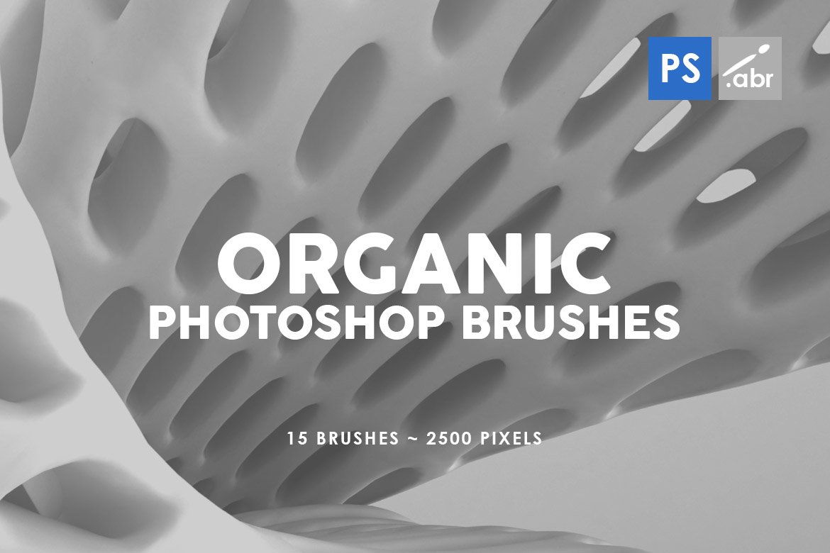 15款抽象有机纹理PS印章笔刷素材 15 Organic Photoshop Stamp Brushes_img_2