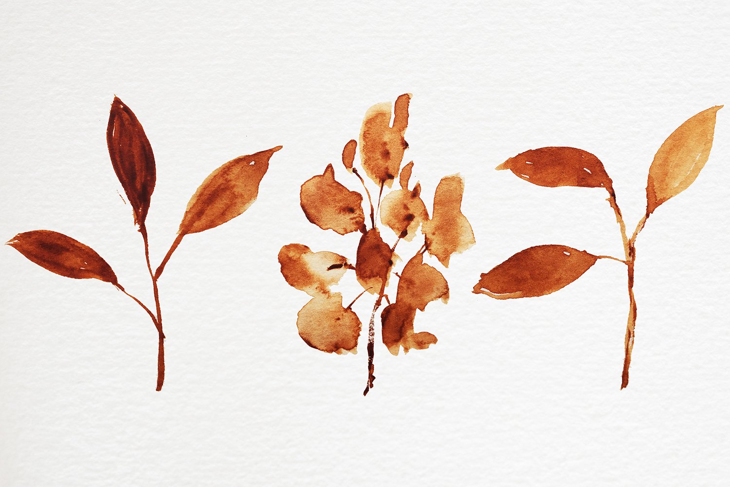 抽象秋季棕榈叶子手绘水彩画图片设计素材 Abstract Shape Watercolor Brown Leaves_img_2