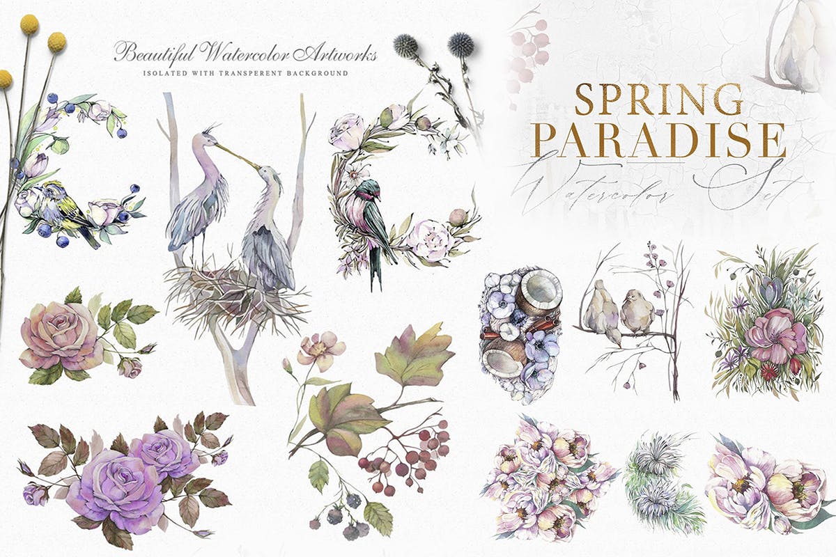 12款春季花卉鸟类手绘水彩画PNG透明图片素材 Spring Paradise Watercolor Clipart Set_img_2