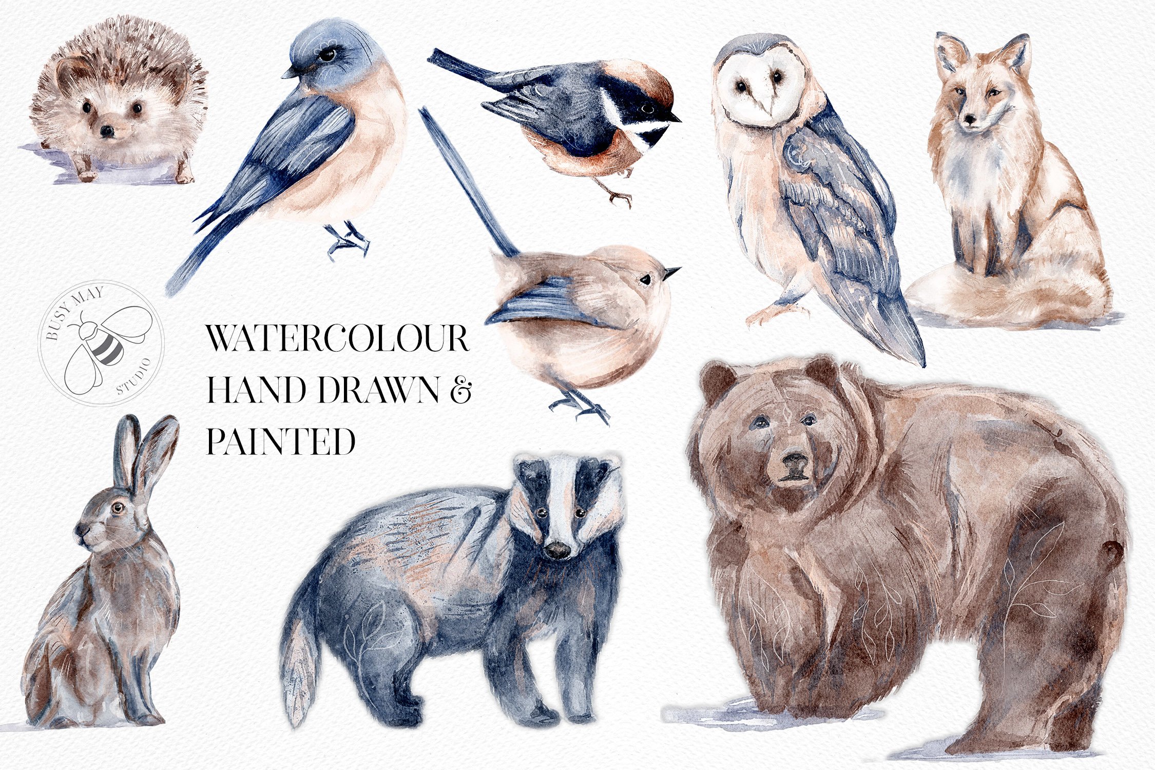 欧风动物鸟类手绘水彩画PNG图片设计素材 Watercolor Forest Animals Birds Owl_img_2