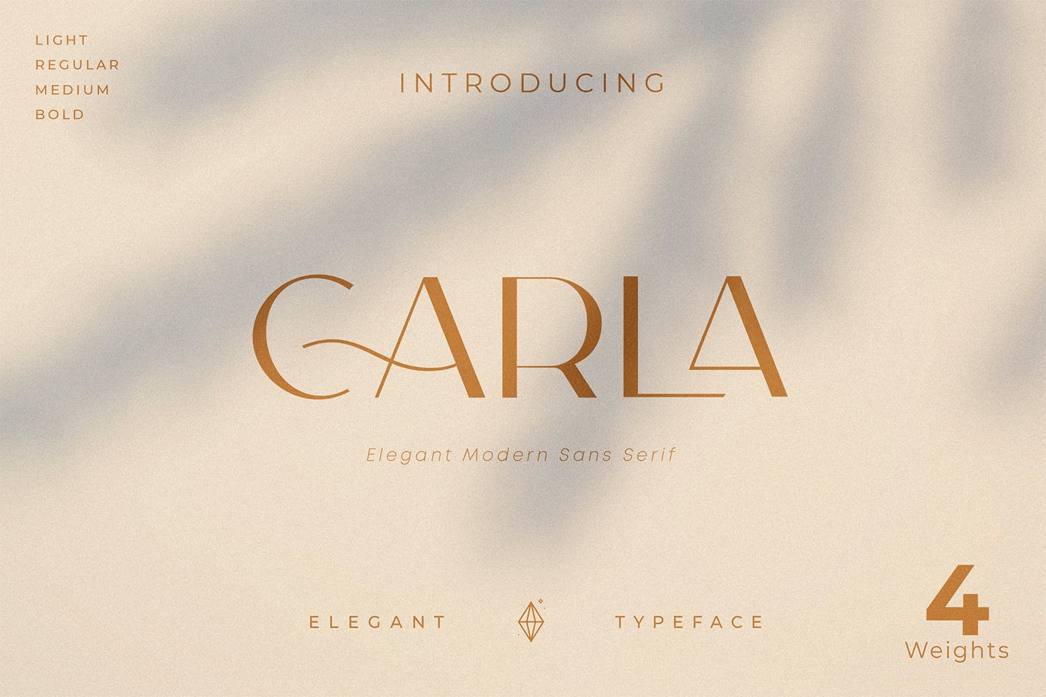 优雅复古杂志标题品牌徽标Logo文字连字无衬线英文字体素材 Carla Sans - Elegant Typeface_img_2