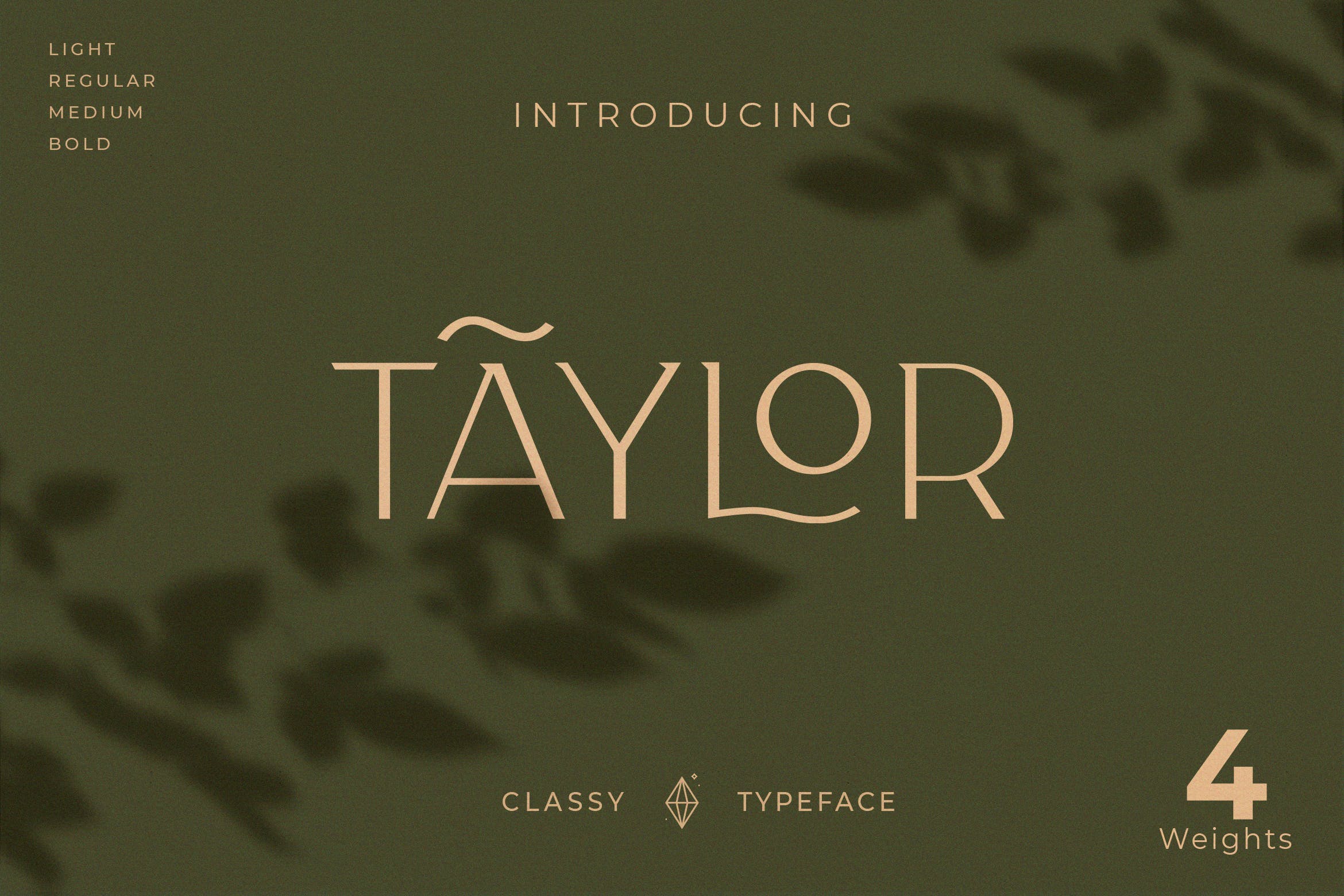 极简复古杂志标题品牌徽标Logo文字设计无衬线英文字体素材 Taylor - Royal Classic Typeface_img_2