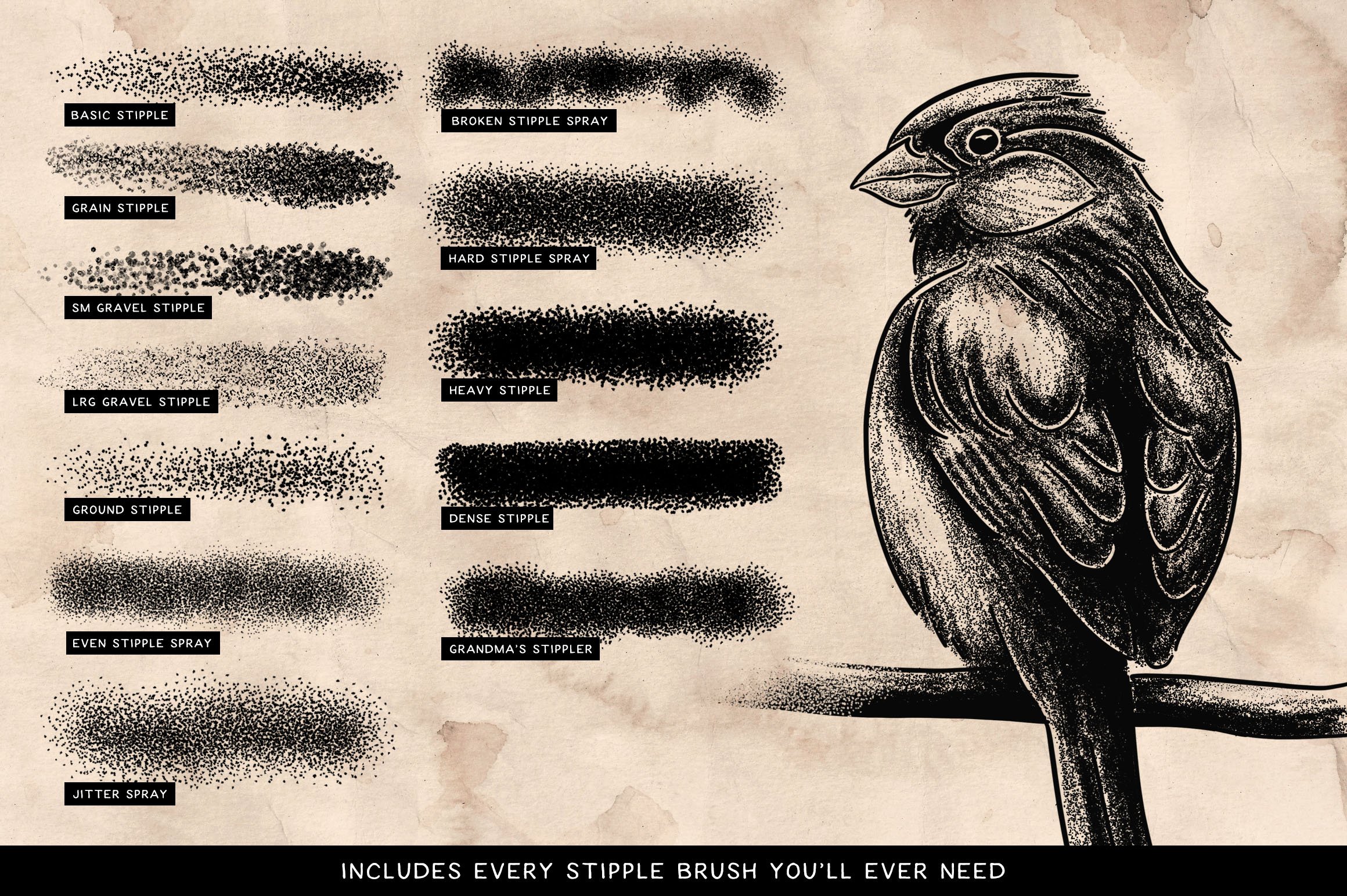 30款点状颗粒绘画效果Affinity笔刷素材 Stipple Shading Brushes For Affinity_img_2