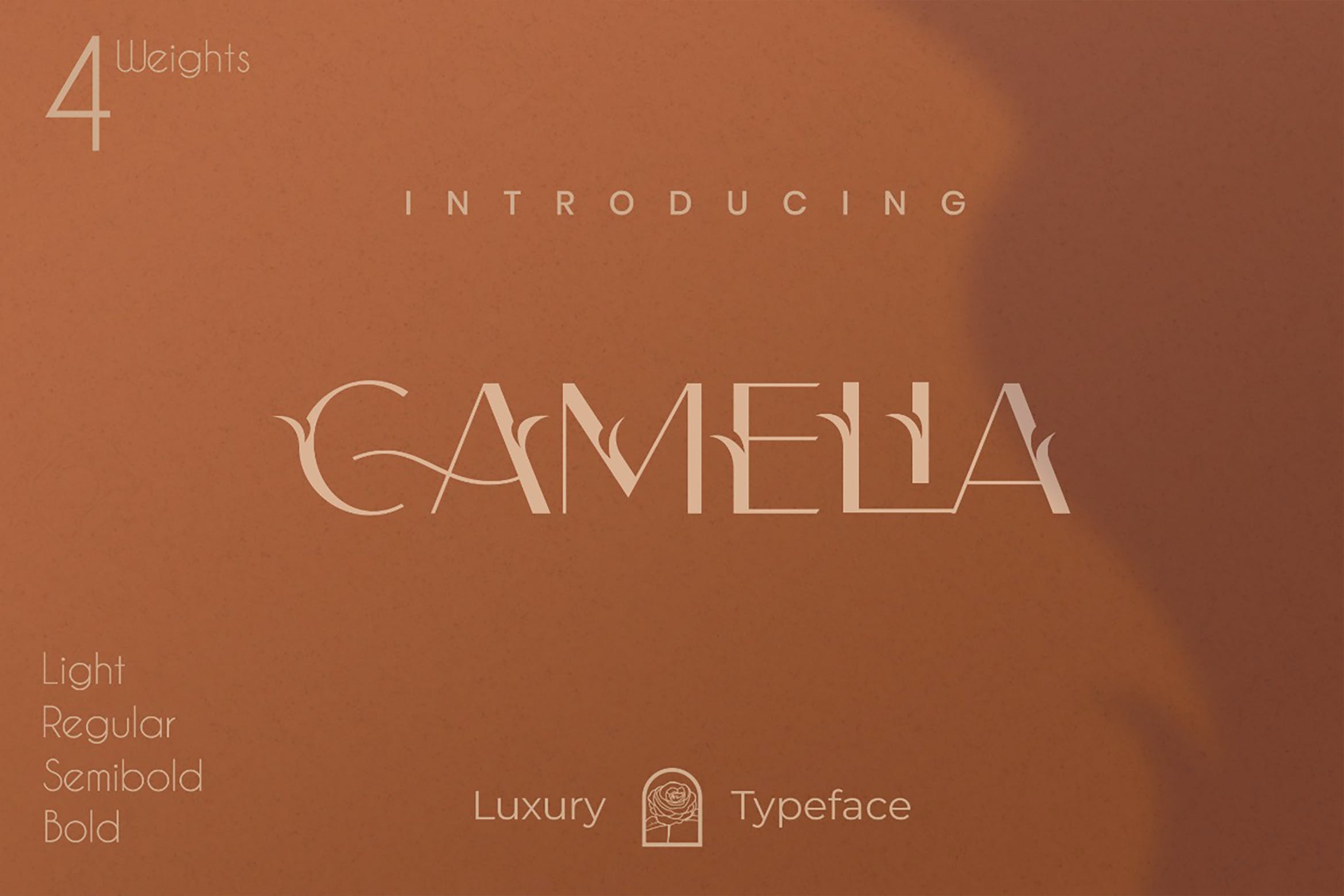 优雅连字杂志标题徽标品牌Logo文字设计装饰英文字体素材 Camelia Sans - Unique Florist Typeface_img_2