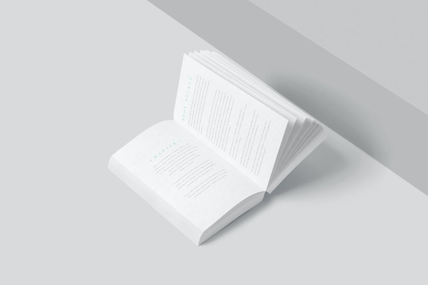 厚实书籍设计展示贴图样机模板 Thick Book Mockups_img_2