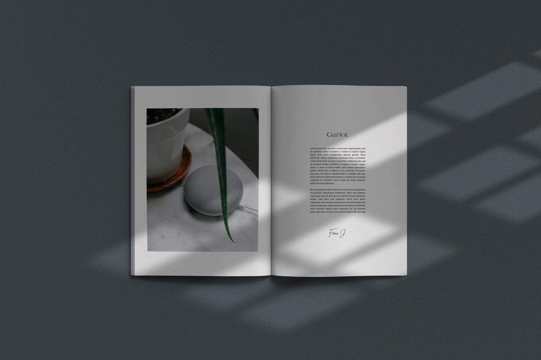 高品质杂志画册设计展示贴图样机模板素材 GARIOT Magazine Mockups_img_2