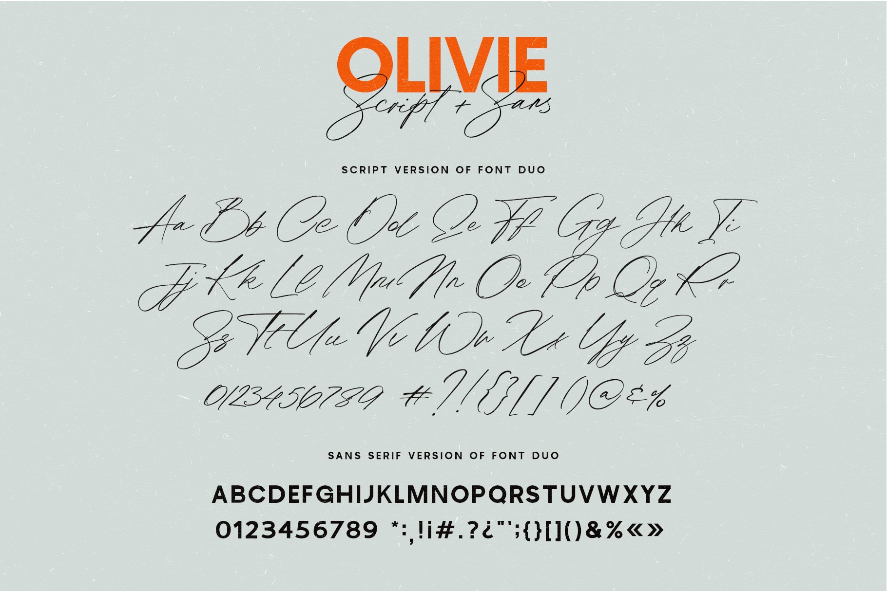 经典标题徽标Logo字体设计英文字体素材 Olivie Font Duo Script & Sans_img_2