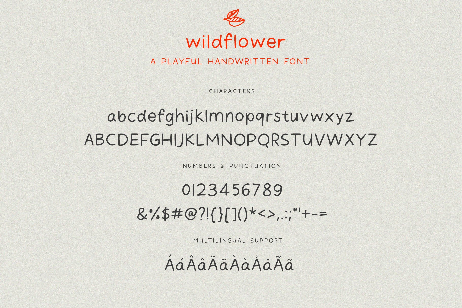 简约标题徽标Logo文字设计手写字体素材 Wildflower Handwritten Font_img_2