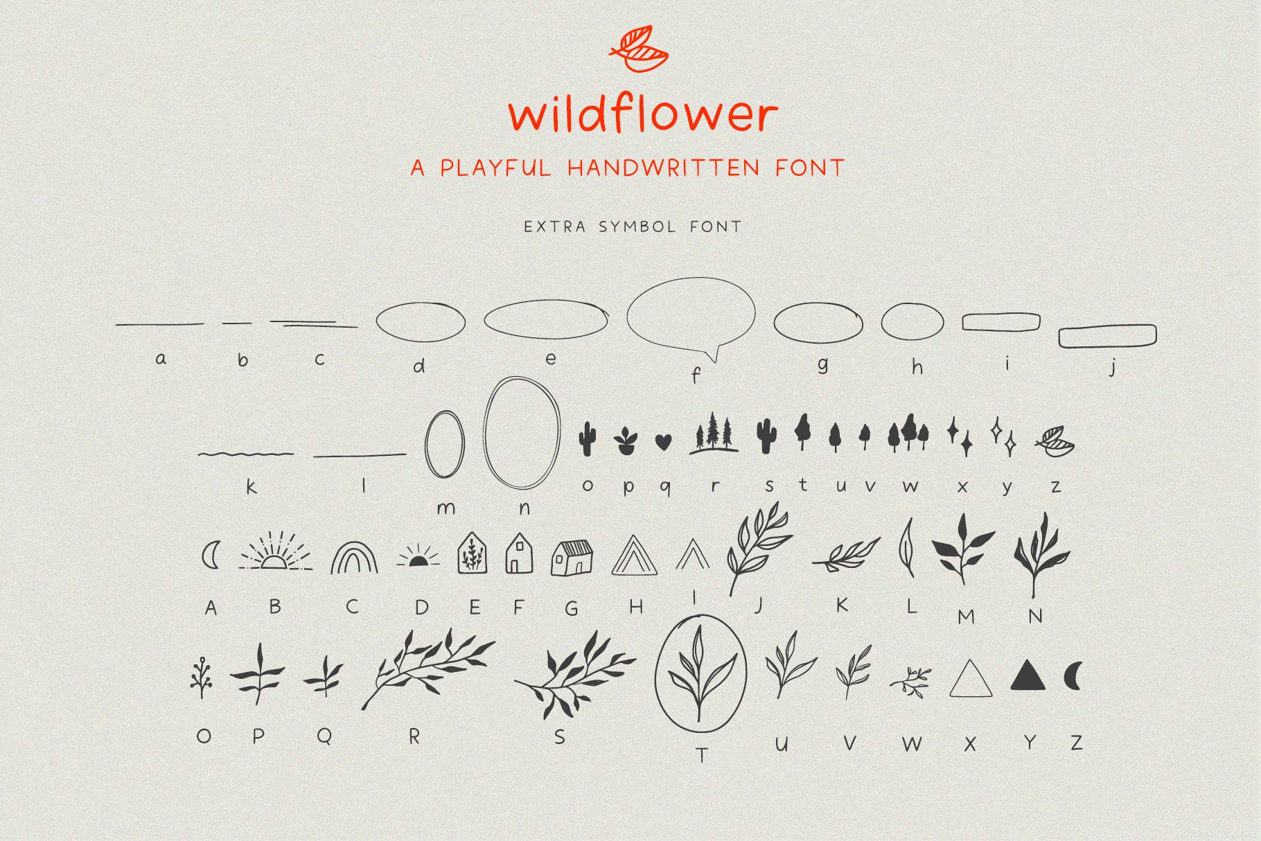 简约标题徽标Logo文字设计手写字体素材 Wildflower Handwritten Font_img_2