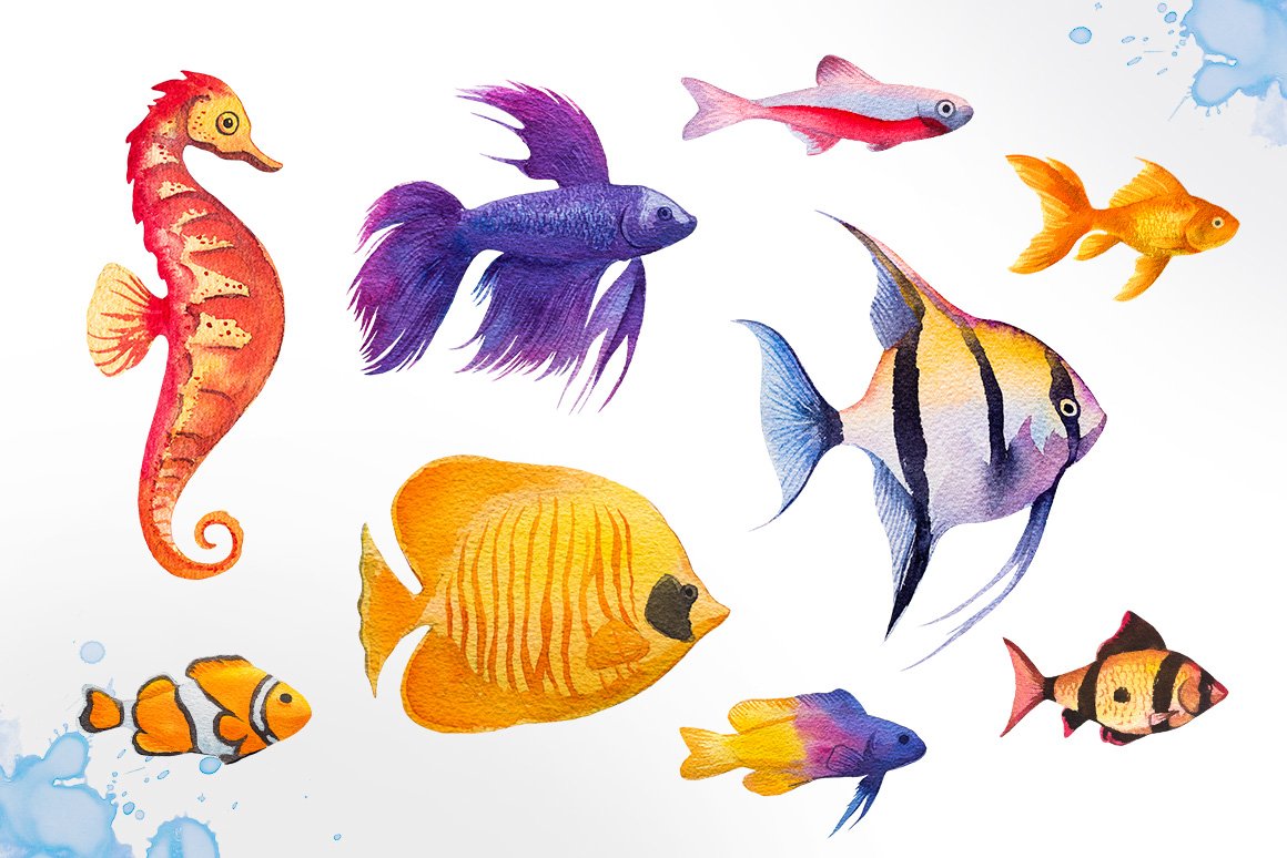 鲜亮多彩水族馆鱼类手绘水彩画设计素材 Aquarium Fishes Watercolor_img_2