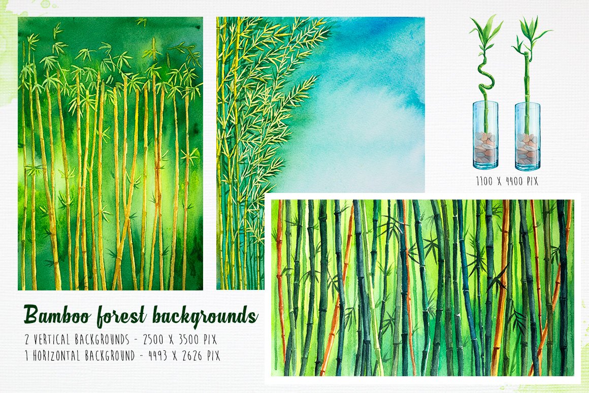 清爽绿色竹子手绘插画设计素材 Bamboo Watercolor Illustrations_img_2