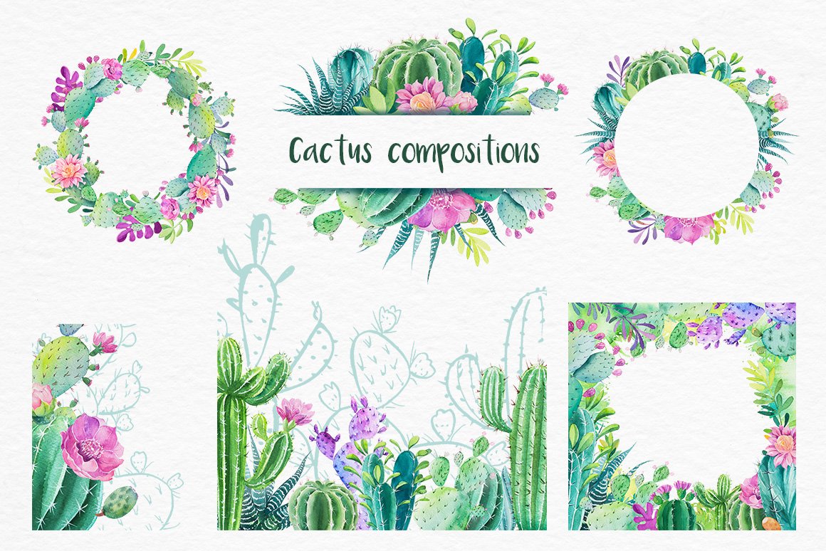 迷人仙人掌花卉手绘水彩画设计素材 Cactus Watercolor Illustrations_img_2