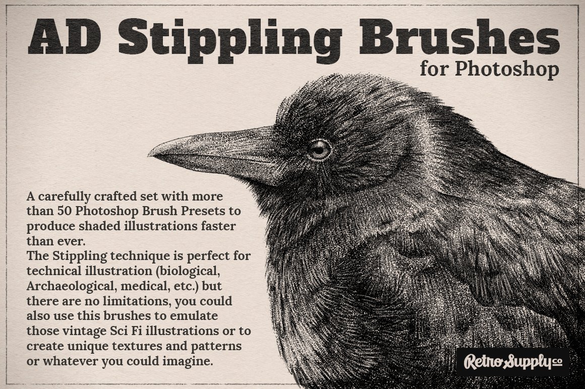 50多款复古点状半调绘画效果PS笔刷素材 AD Stippling Brushes For Photoshop_img_2