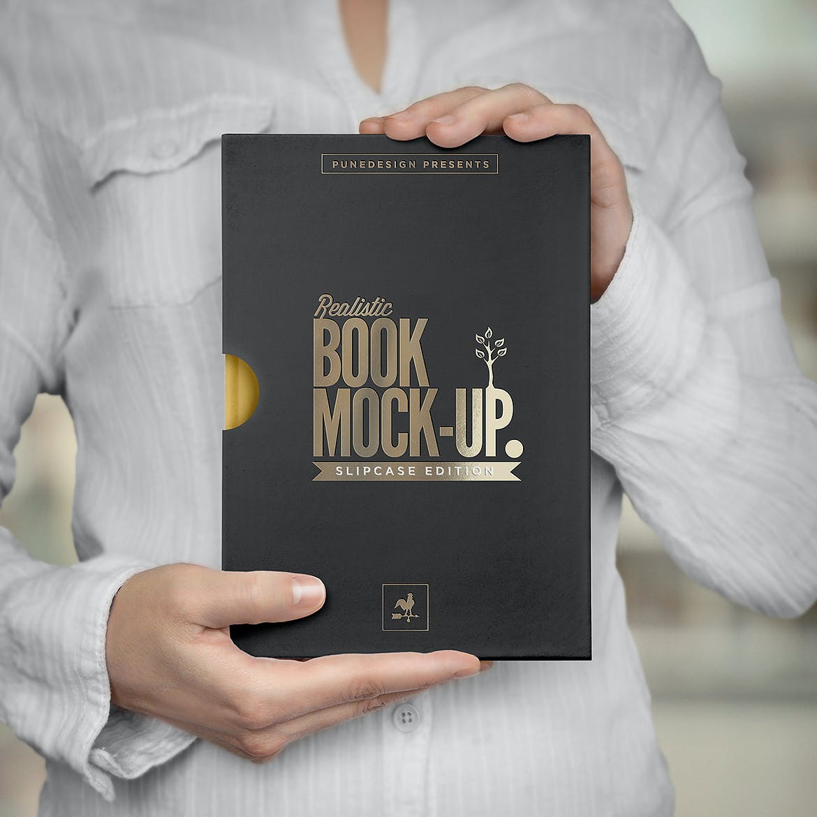 10款带书匣封套精装书籍设计展示贴图样机模板 Book Mockup Slipcase Edition_img_2