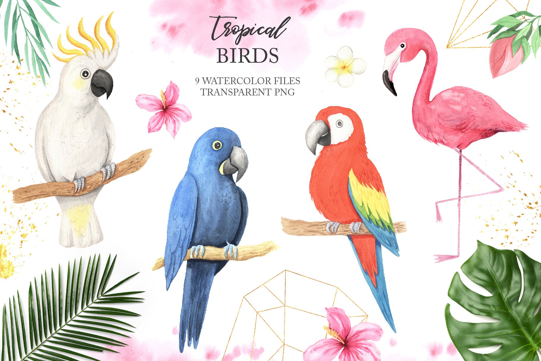 夏威夷热带植物叶子鸟类手绘水彩画PNG免抠图片素材 Watercolor Tropical Birds Set_img_2