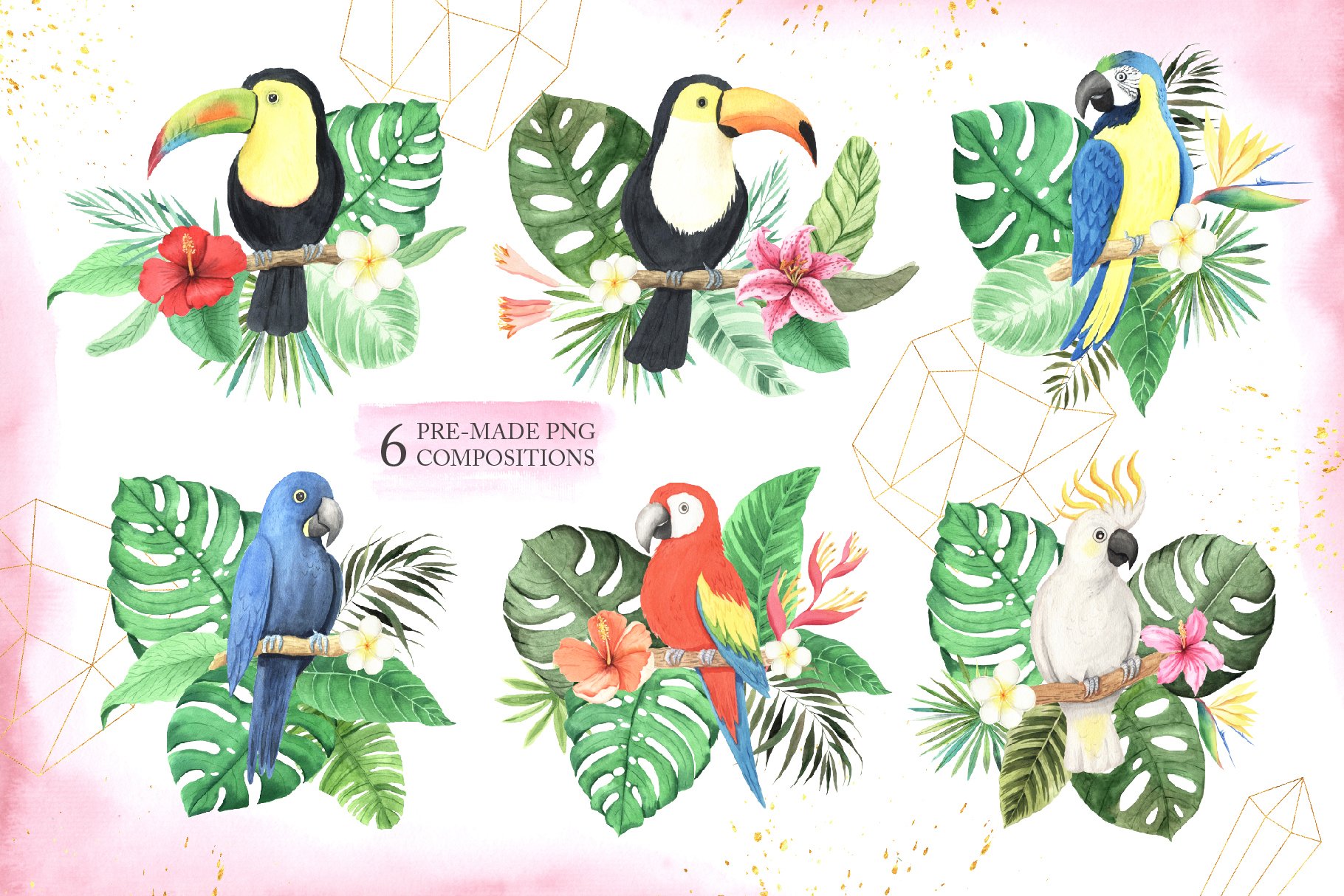 夏威夷热带植物叶子鸟类手绘水彩画PNG免抠图片素材 Watercolor Tropical Birds Set_img_2