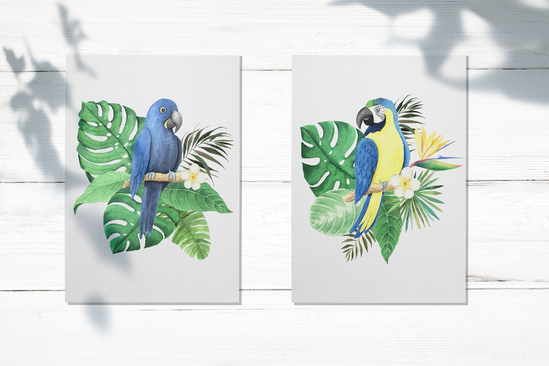 夏威夷热带植物叶子鸟类手绘水彩画PNG免抠图片素材 Watercolor Tropical Birds Set_img_2