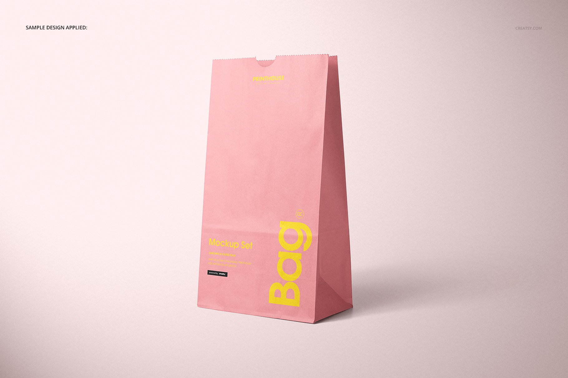 9款现代时尚食品外卖牛皮纸包装袋设计贴图样机合集 Lunch Bag Mockup Set_img_2