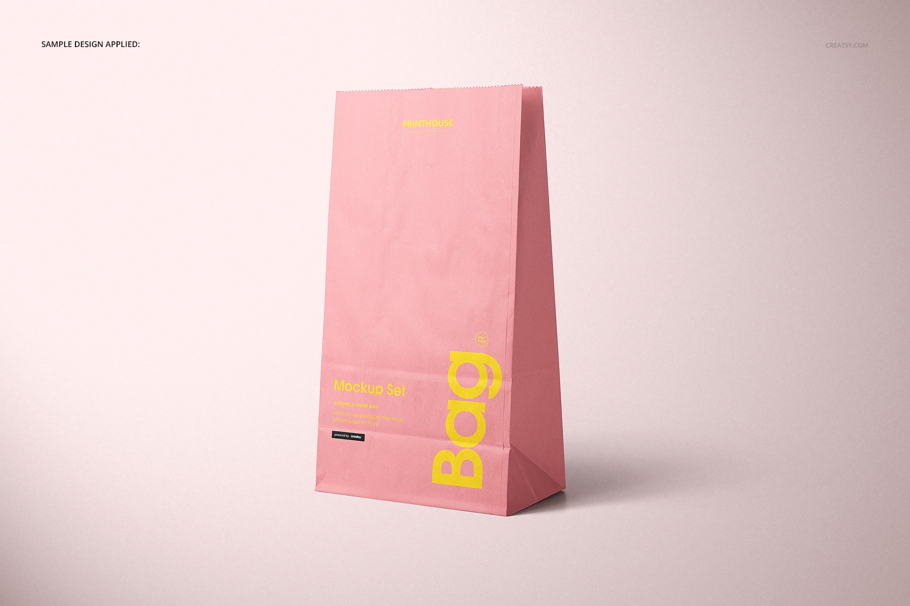 9款现代时尚食品外卖牛皮纸包装袋设计贴图样机合集 Lunch Bag Mockup Set_img_2