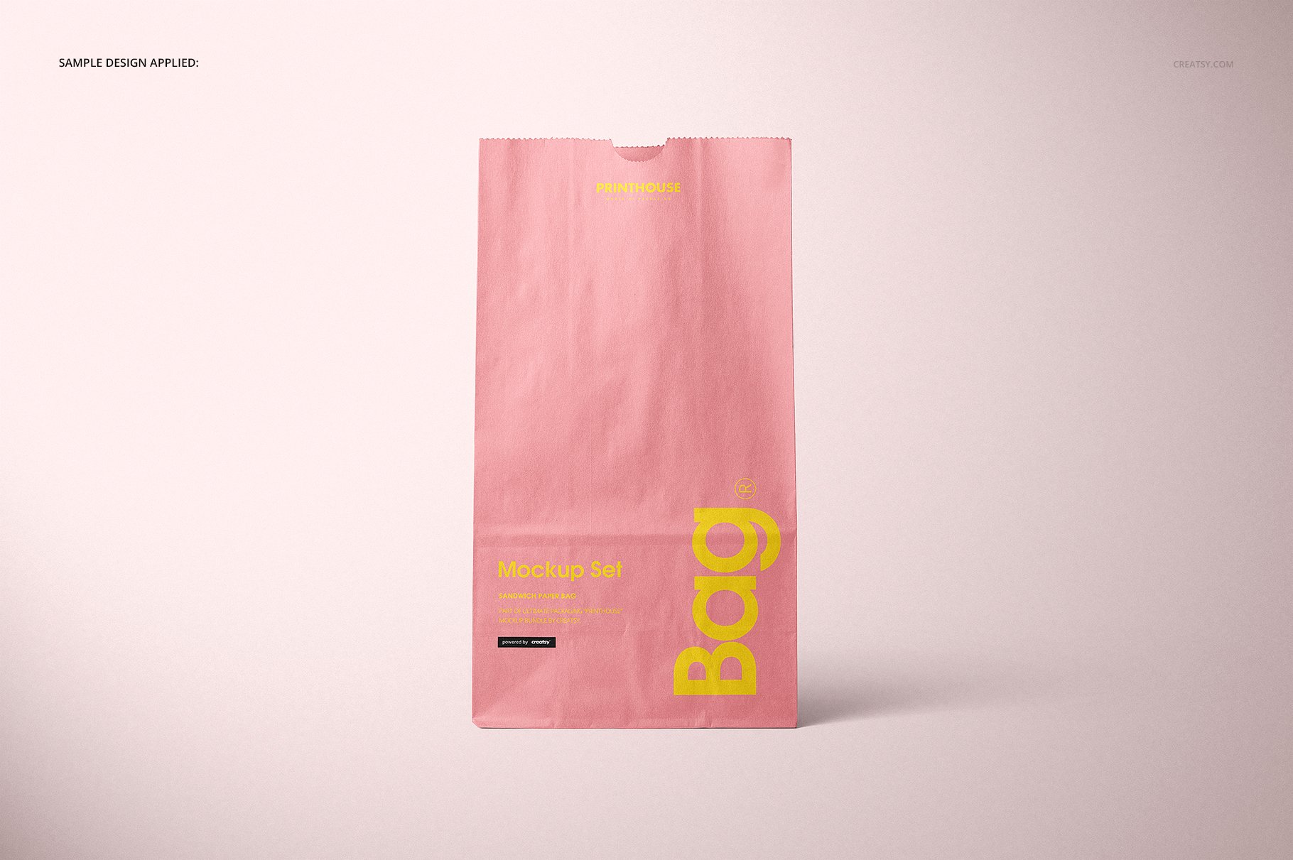 9款现代时尚食品外卖牛皮纸包装袋设计贴图样机合集 Lunch Bag Mockup Set_img_2