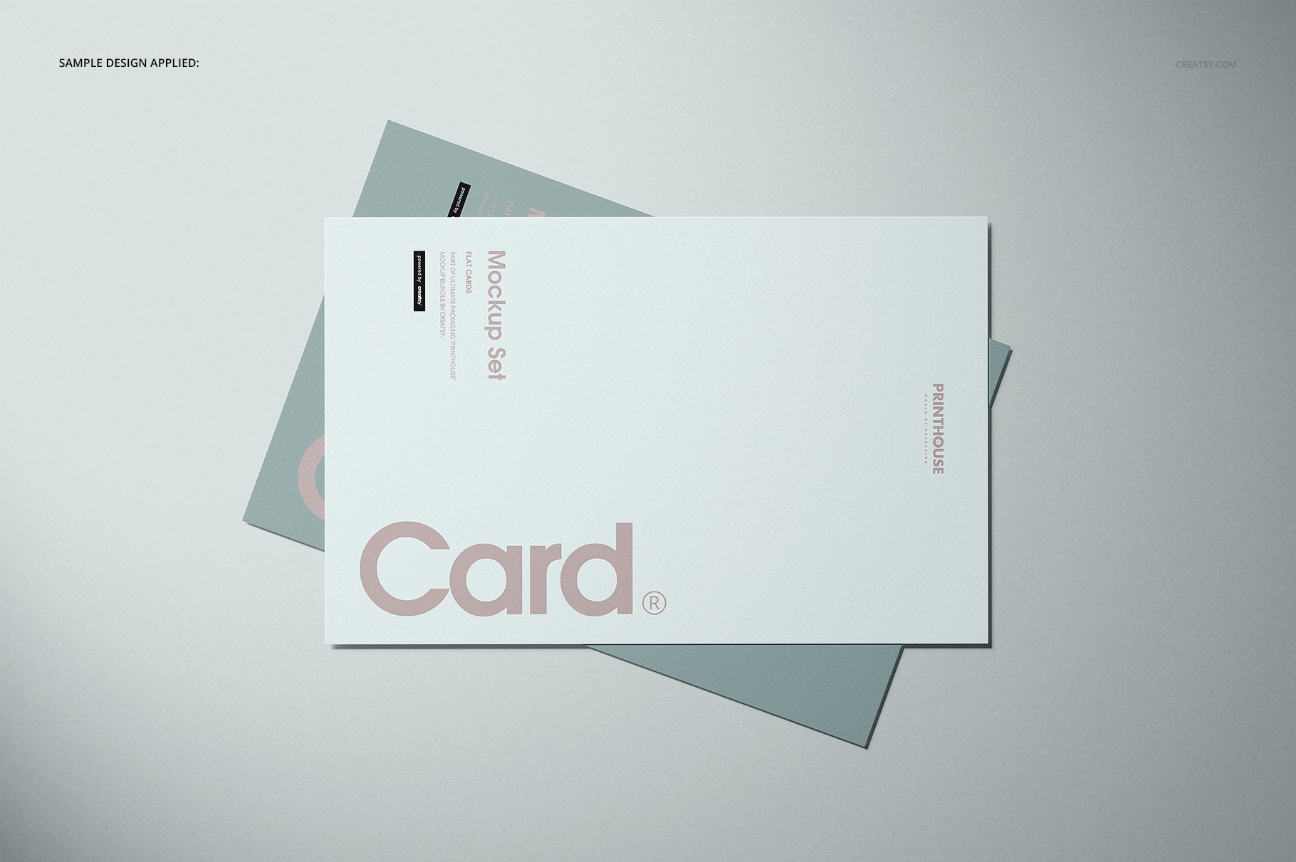 时尚宣传单页海报卡片设计展示贴图样机合集 Flat Cards Mockup Set_img_2